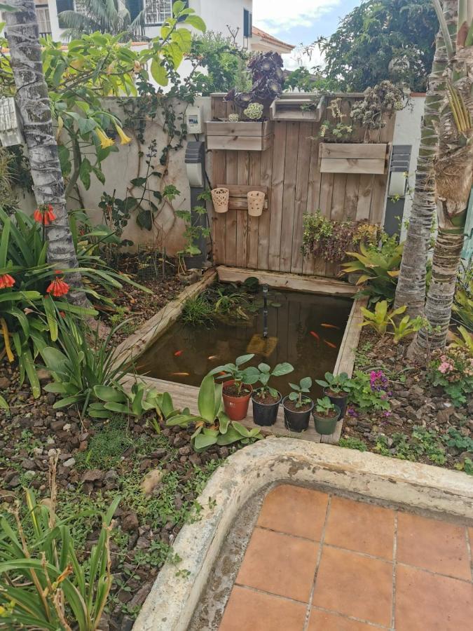 شقة Jardin44 Santa Úrsula المظهر الخارجي الصورة